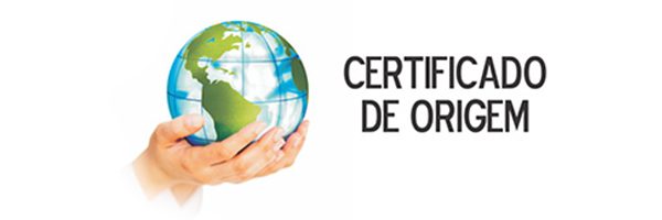 certificado-digital_cisfs